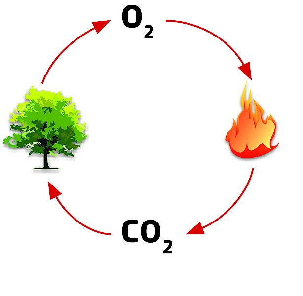 Pourquoi la combustion aux pellets de bois est éco-responsable